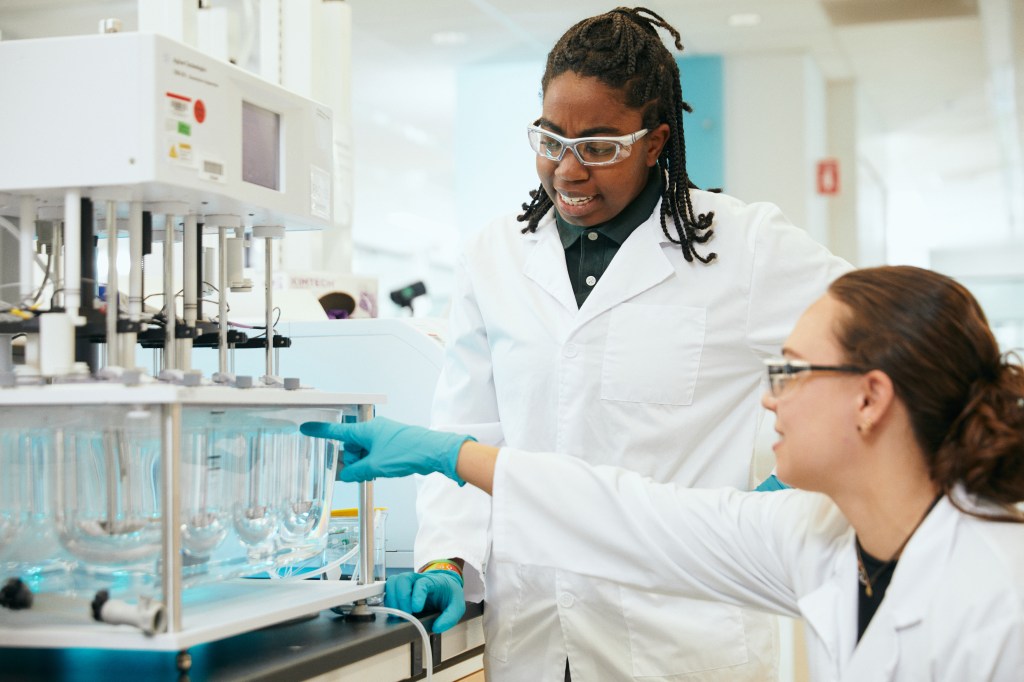 two scientists in a lab